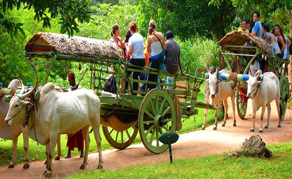 Hidden Lake Cottages Sigiriya Ngoại thất bức ảnh